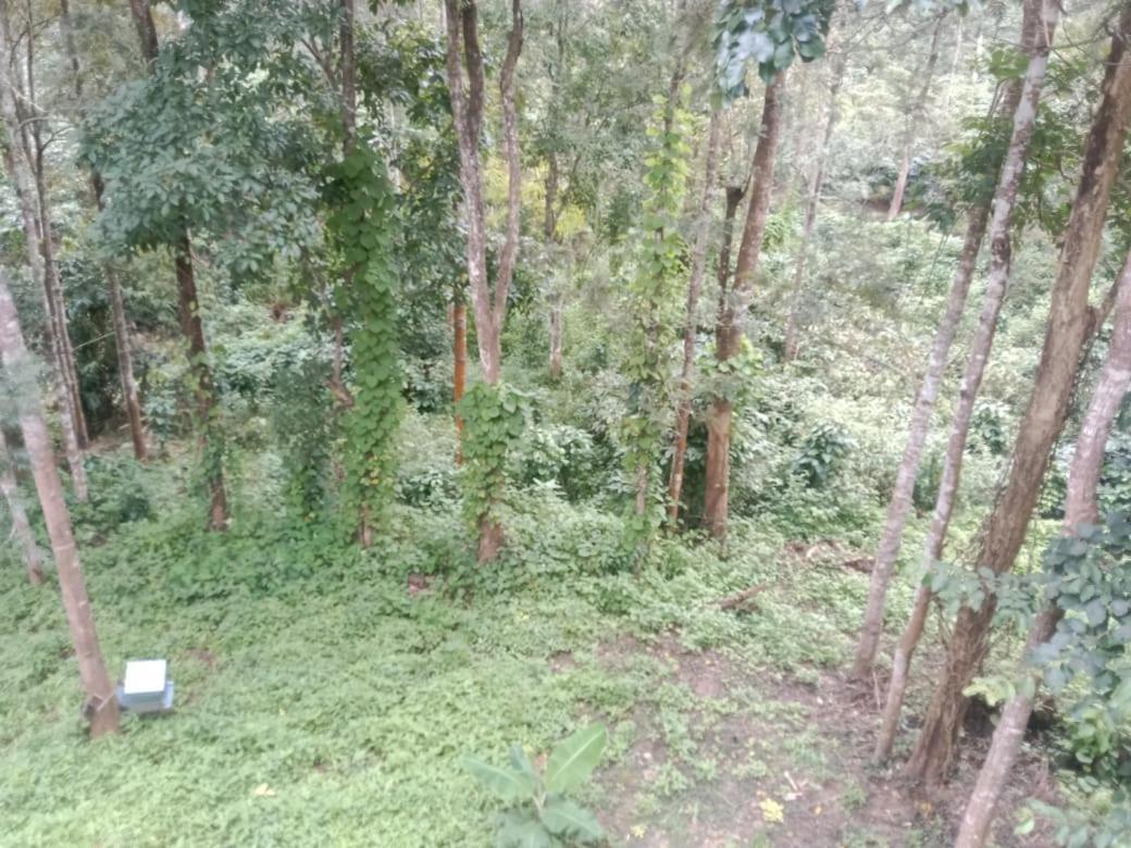 Вілла Elephant Path Coorg 3Bhk Suntikoppa Екстер'єр фото